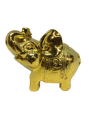Stunning Lucky Feng Shui Golden Elephant