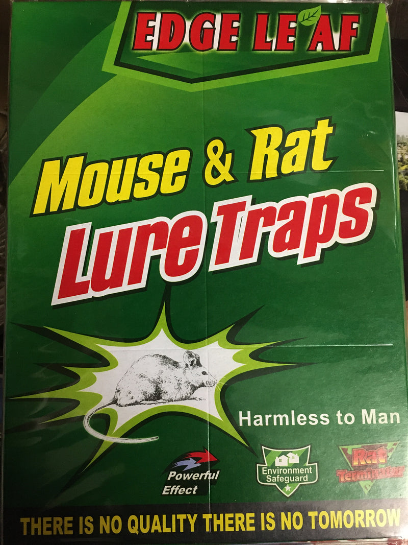 Best Mouse & Rat Lure Traps